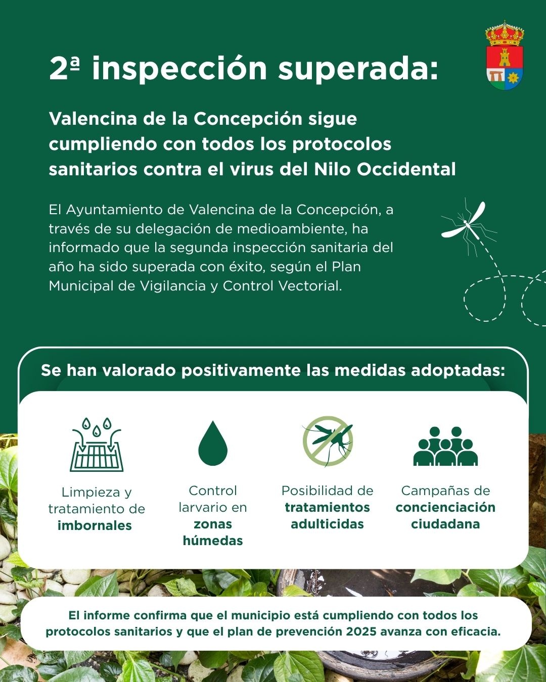 II Inspección Sanitaria