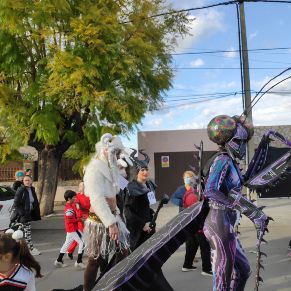 IMG_20220305_174253_1