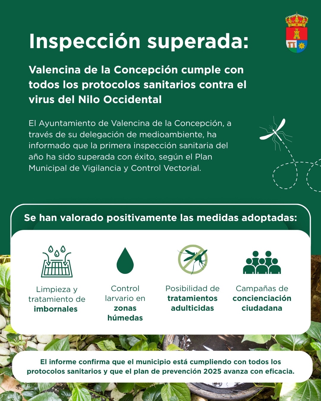 Inspección superada