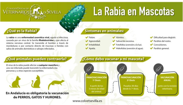 Rabia en mascotas