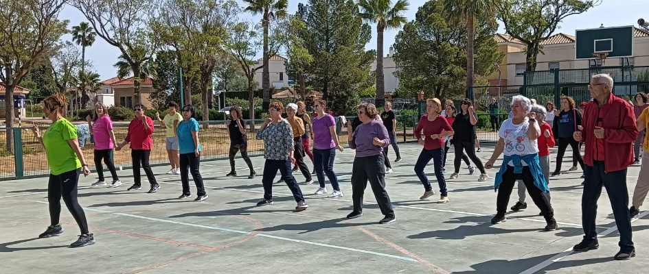 Día de la Actividad Física