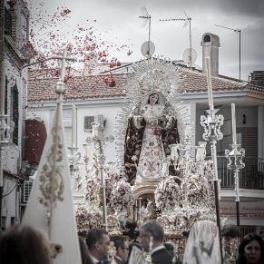 domingo resurrección 2025 _3