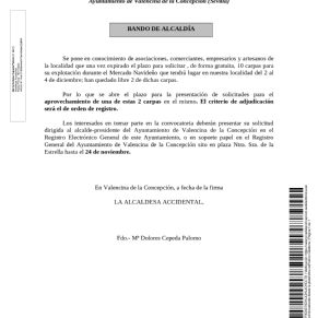 Bando Mercado Navideño 2022