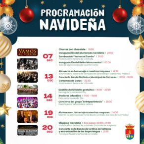 programacionnavideña1